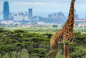 1 JOUR AU PARC NATIONAL DE NAIROBI