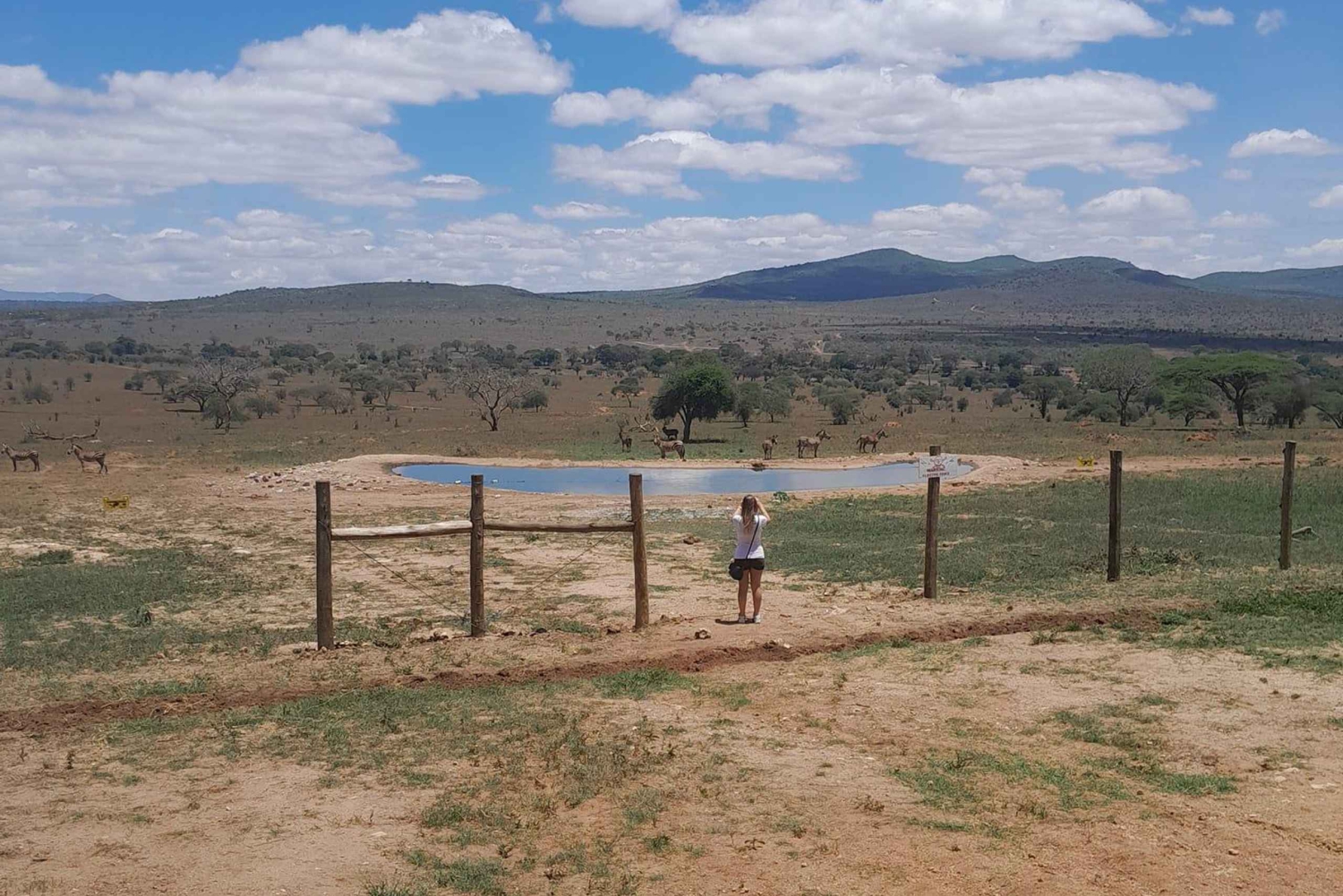 Safári de 1 dia no Parque Nacional Tsavo East saindo de Nairóbi