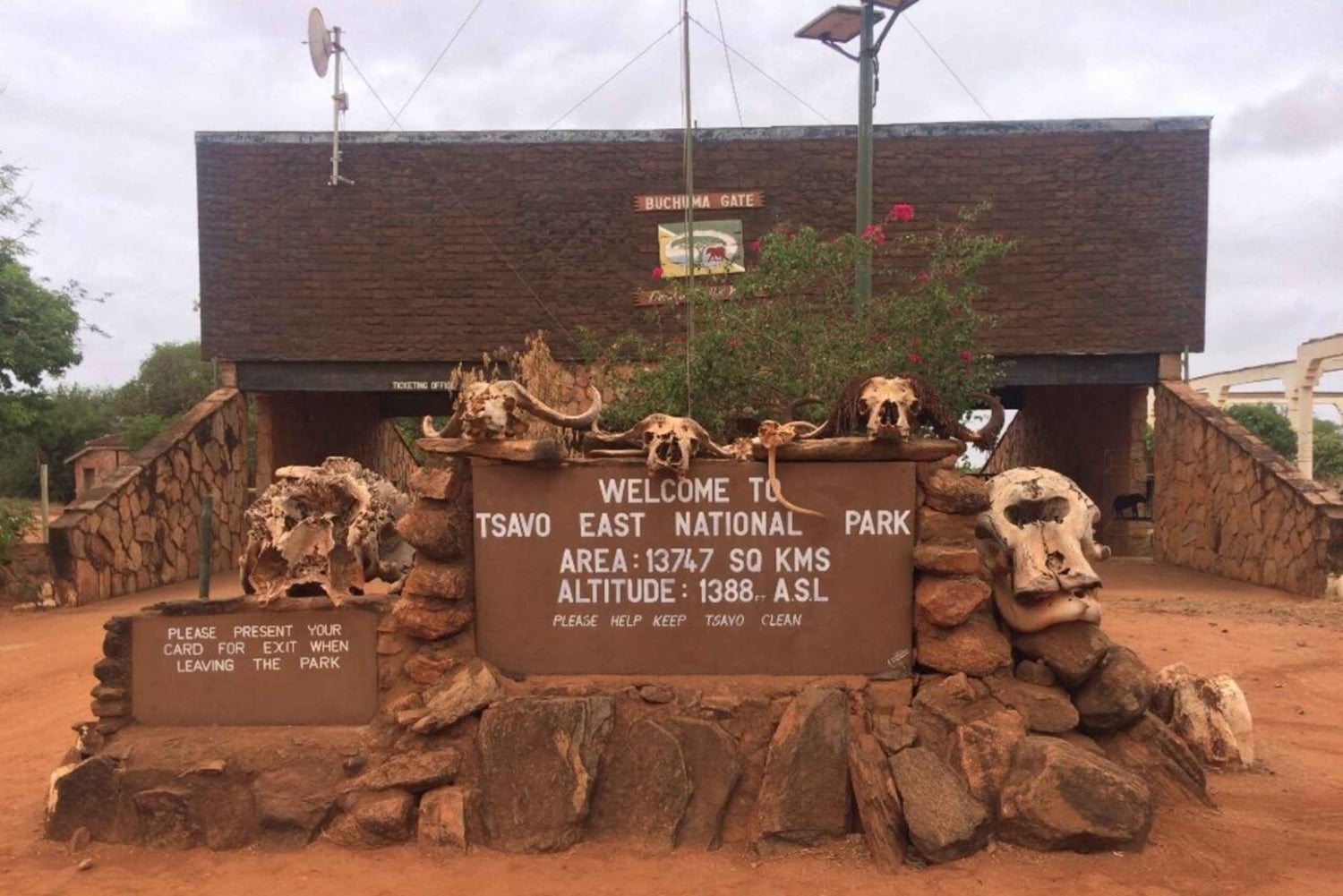 1 dzień Park Narodowy Tsavo East, safari z dziką przyrodą - Kenia