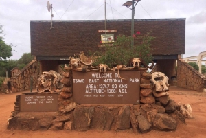 1 dzień Park Narodowy Tsavo East, safari z dziką przyrodą - Kenia