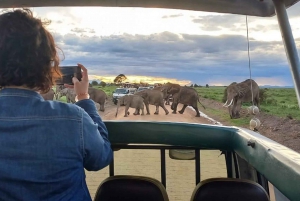 1 noc 2 dni Park Narodowy Amboseli z Nairobi