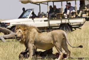 10 päivää Kenia ja Tansania Amazing Wildlife Safari