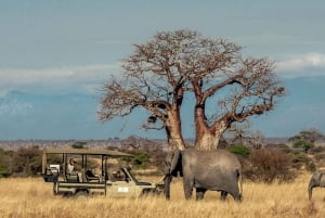 11 Days Kenya and Tanzania with Serengeti: A Safari Journey