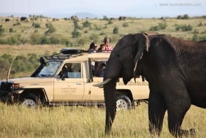 11 Days Spirit & Soul of Africa Kenya and Tanzania safari