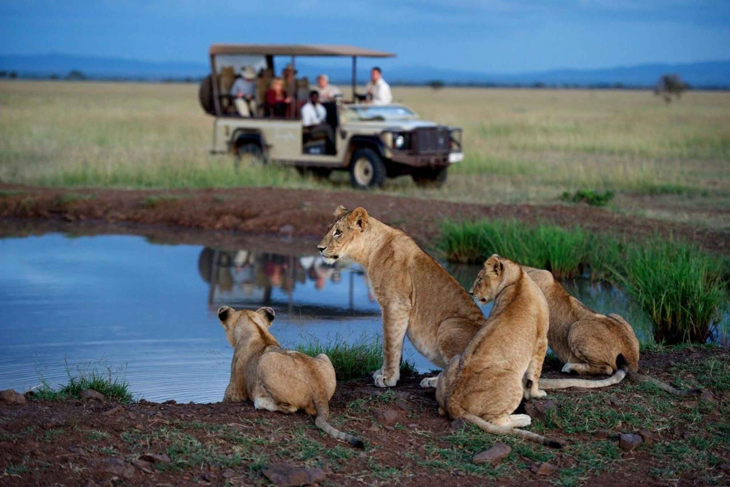 11 Tage Tansania Big Five Wildlife Safari und Sansibar Strand