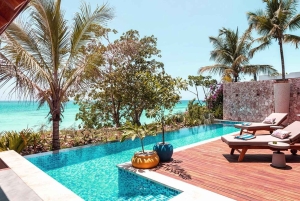 11 Tage Tansania Big Five Wildlife Safari und Sansibar Strand