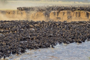 11 Tage Tansania Big Five Wildlife Safari und Sansibar Strand