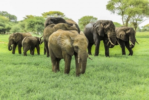 14 Days East Africa Safari with Beach Extension