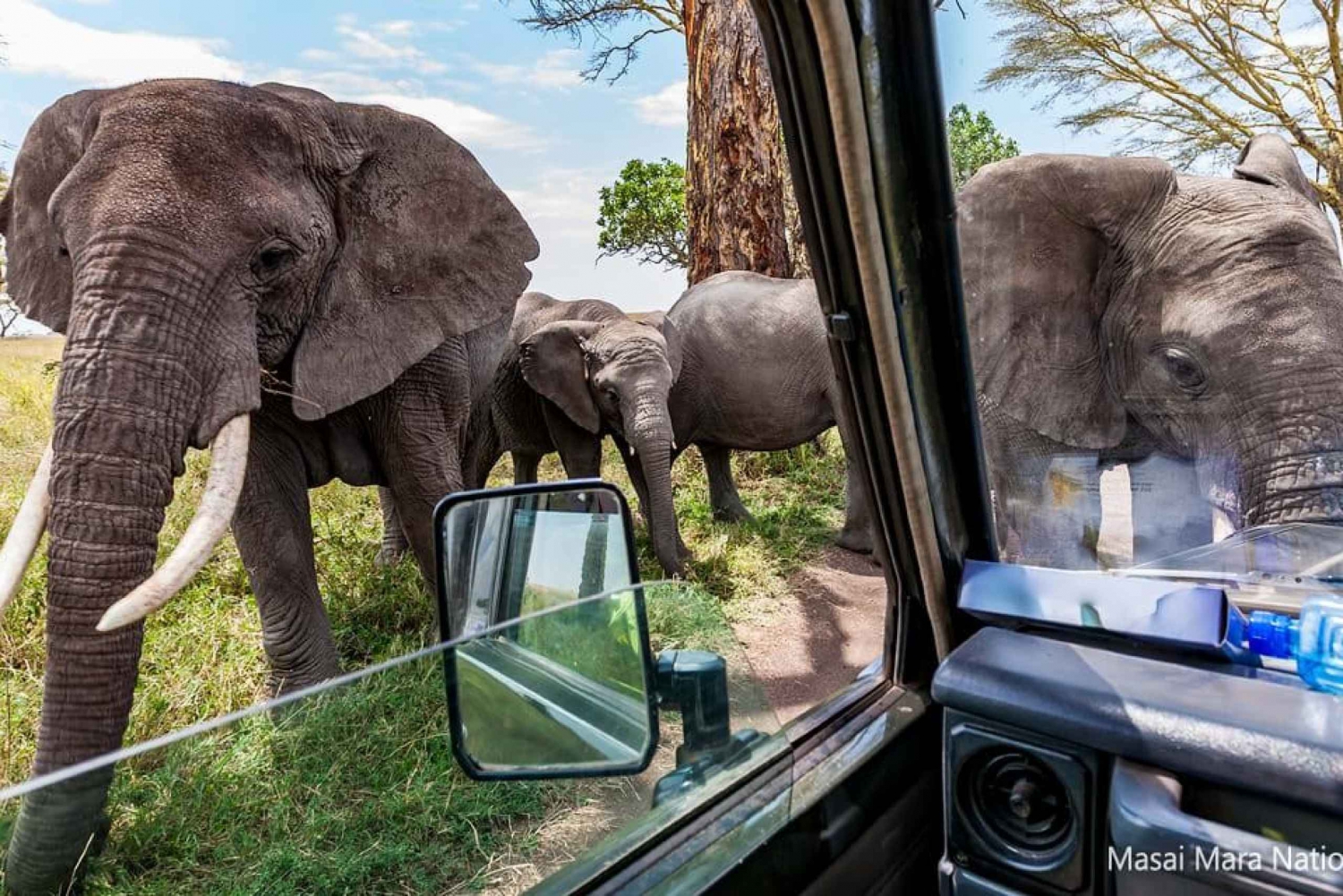 Safari di lusso di 14 giorni con il meglio del Kenya e della Tanzania su Jeep 4x4