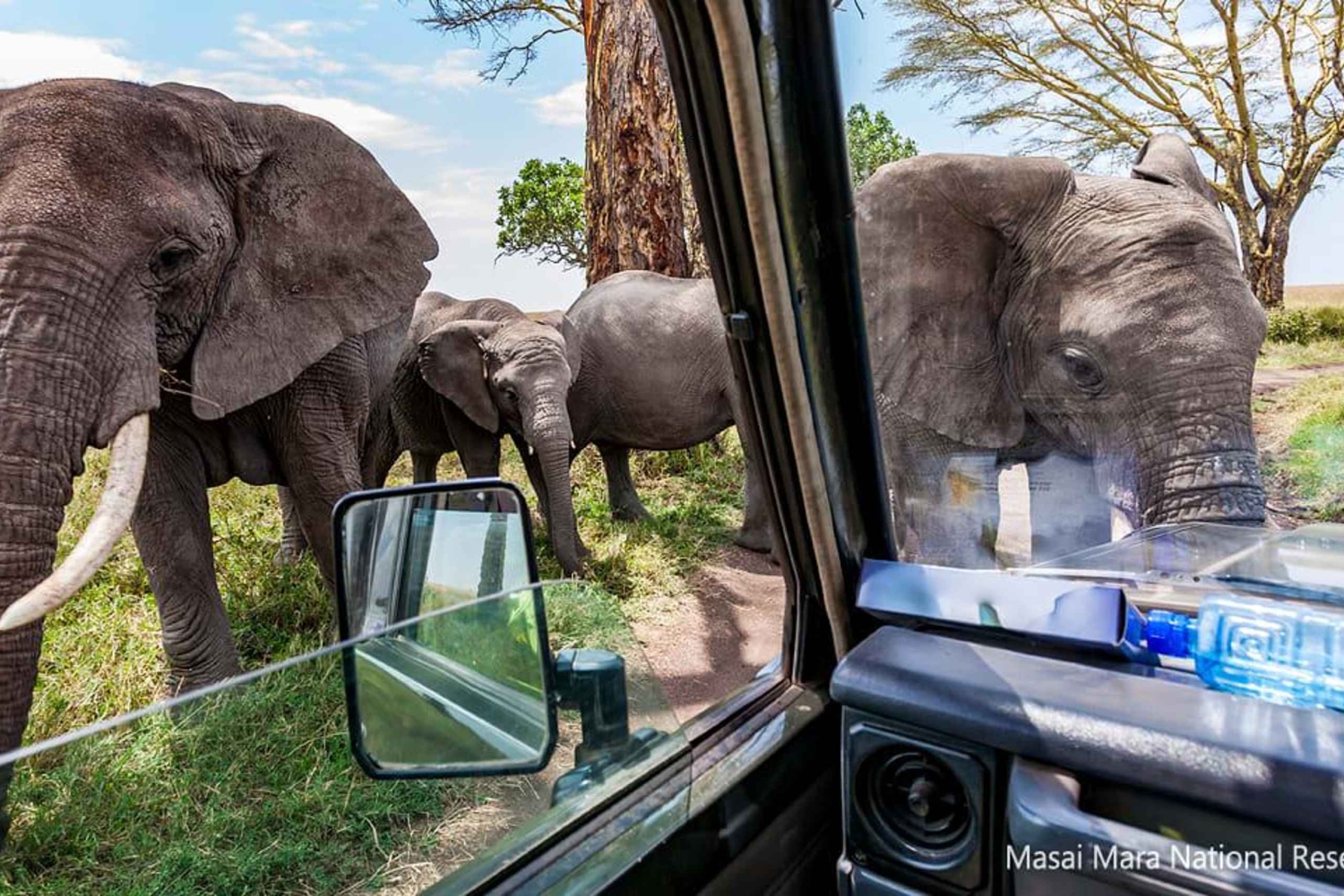 14Days Kenya Luxury Wildlife Safari with Diani Beach Holiday