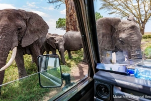 14Days Kenya Luxury Wildlife Safari with Diani Beach Holiday