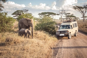 14Days Kenya Luxury Wildlife Safari with Diani Beach Holiday