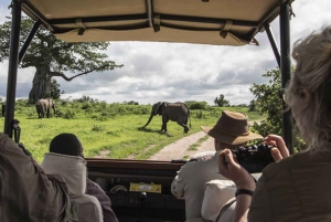 16 Days Best Of Kenya Wildlife Safari on a 4x4 land cruiser