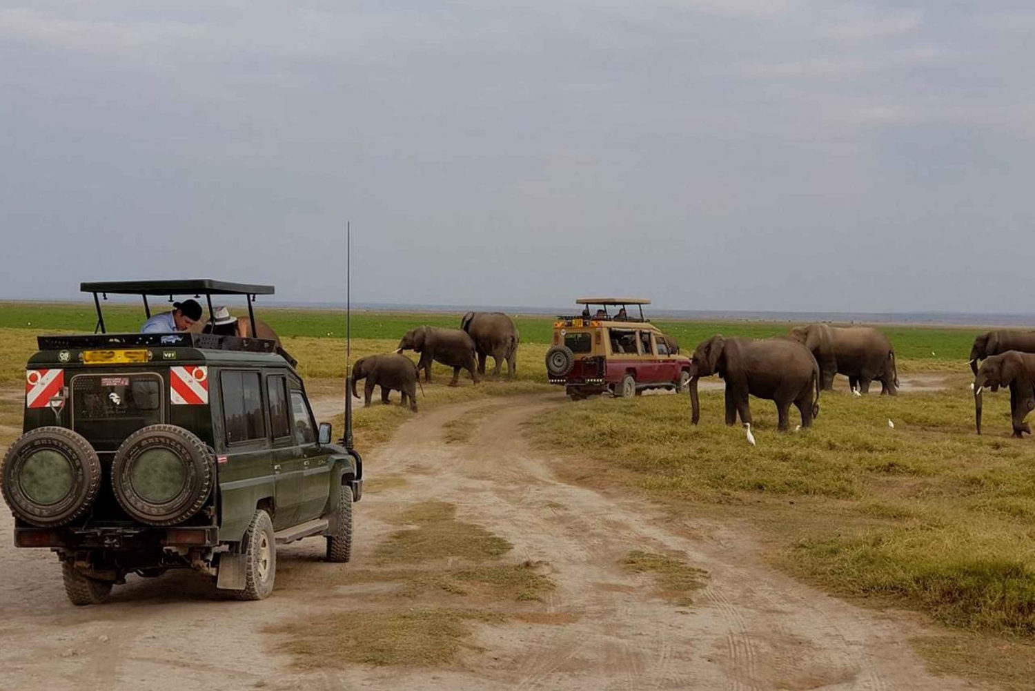 2-Day Amboseli National Park Safari