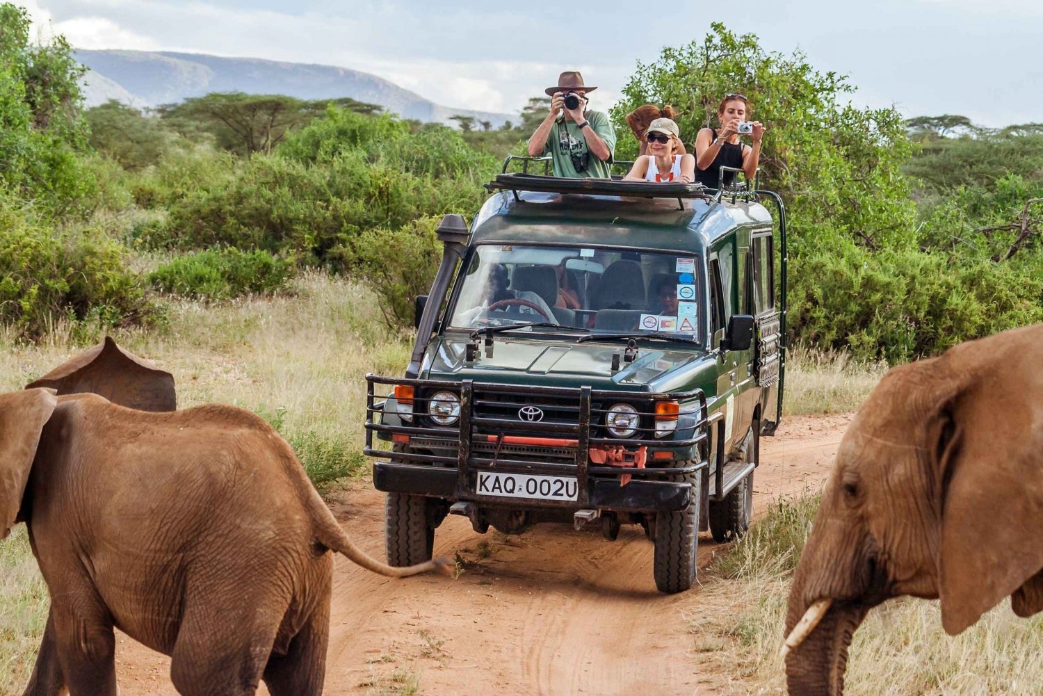 2-päiväinen Amboselin kansallispuiston safari