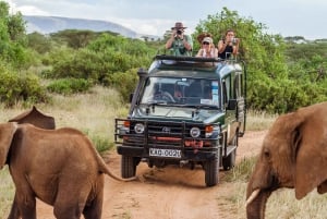 2-Day Amboseli National Park Safari
