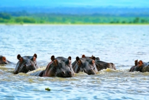 Safari di 2 giorni con i fenicotteri sul lago Nakuru e giro in barca sul lago Naivasha