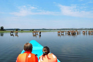2-Day Lake Nakuru Flamingo Safari & lake Naivasha Boat Ride