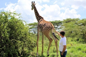 2-Day Lake Nakuru Flamingo Safari & lake Naivasha Boat Ride