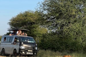 Nairobi nasjonalpark, Sheldricks og giraffesenter + henting