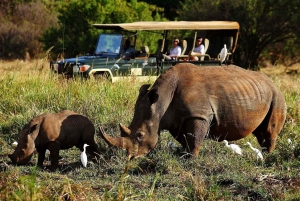 ナクル湖、ヘルズ ゲート、ナイバシャ湖 2 日間ツアー