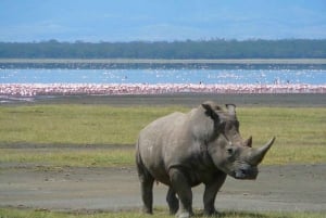 ナクル湖、ヘルズ・ゲート、ナイバシャ湖 2日間ツアー