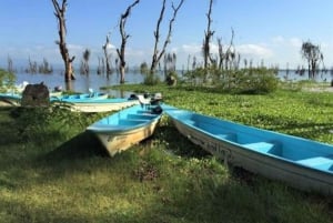 ナクル湖、ヘルズ・ゲート、ナイバシャ湖 2日間ツアー