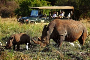 2-dages tur til Lake Nakuru, Hell's Gate og Lake Naivasha