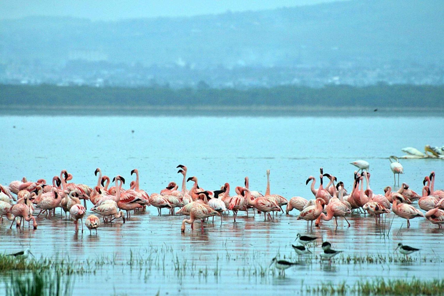 2 Day tour to Lake Nakuru and Lake Naivasha Boat Ride