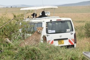 2 Days 1 Nights Masai mara safari