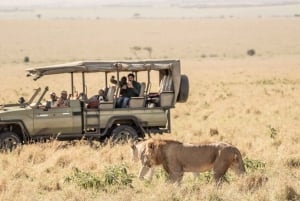 Masai Mara: 2 dager og 1 natt privat safari fra Nairobi