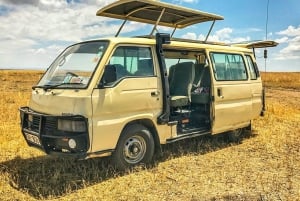 2 dages safari i Amboseli Nationalpark