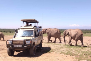 2-dniowe safari w Amboseli