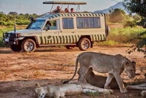 2 Days Ngutuni Sanctuary, Tsavo East Private Safari