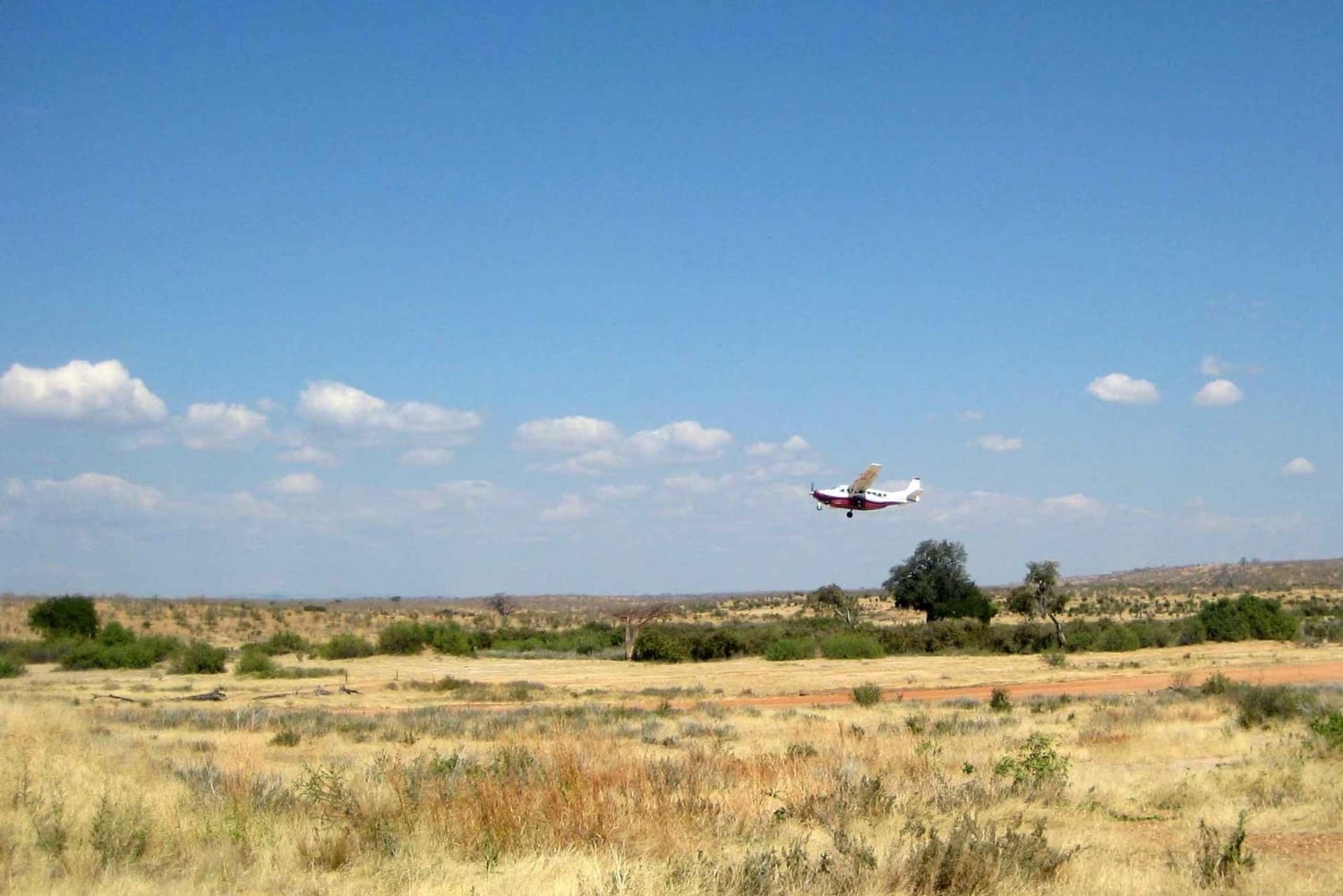 Safari privado económico de 2 días desde Moshi