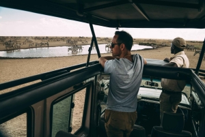 Safari privado económico de 2 días desde Moshi