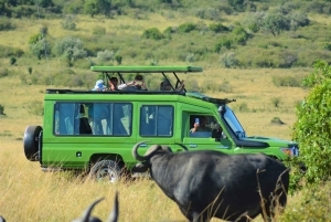 2 dagen privé safari middenklasse vanuit Nairobi