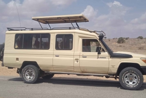 2 Days safari Tsavo East