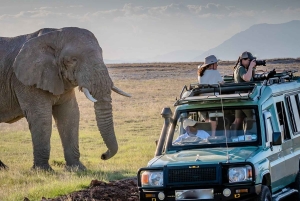 2 Days to Amboseli National Park with Masai Village Tour
