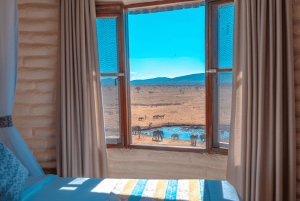 2 giorni di safari Tsavo Est e Saltlick da Diani/Mombasa