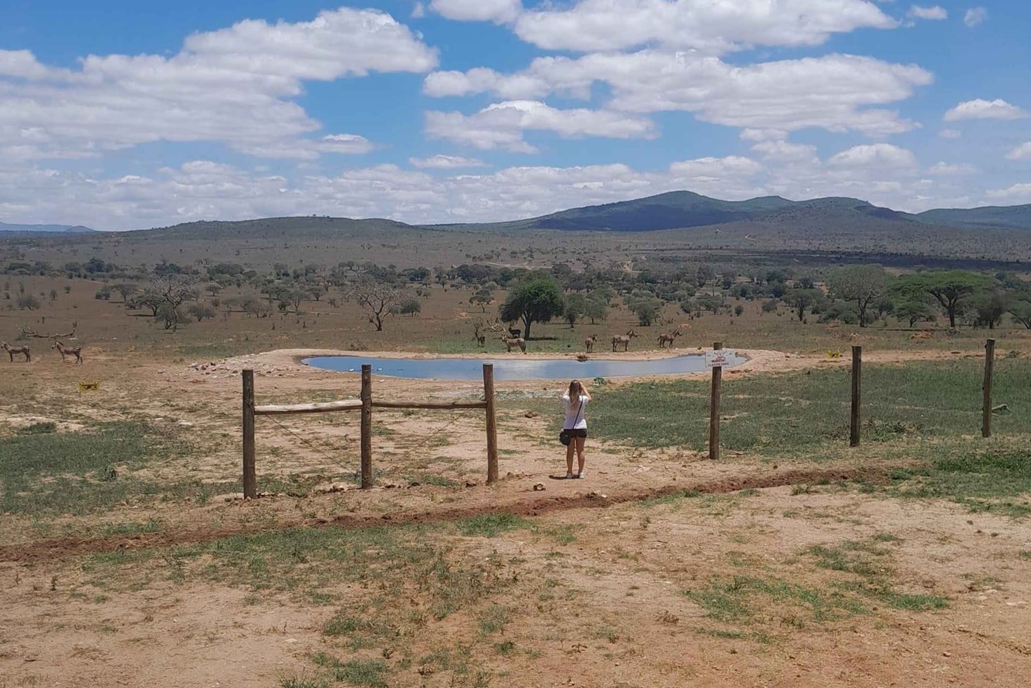 2 päivän villieläinsafari Tsavo East & Tsavo West Parkiin