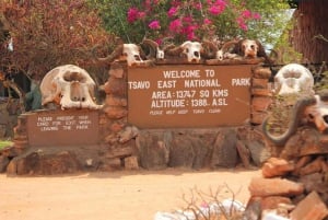 Safari di 2 giorni alla fauna selvatica nel Parco Tsavo Est e Tsavo Ovest