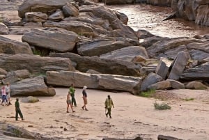 Safari di 2 giorni alla fauna selvatica nel Parco Tsavo Est e Tsavo Ovest
