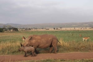 2-Days Wildlife Safari to Tsavo East & Tsavo West Park