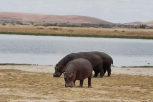 2-Days Wildlife Safari to Tsavo East & Tsavo West Park