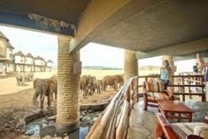 Safari di 2 giorni nel parco Tsavo Est e Tsavo Ovest