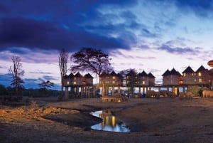 Safari di 2 giorni nel parco Tsavo Est e Tsavo Ovest