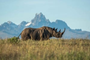Safari di 2 giorni nel parco Tsavo Est e Tsavo Ovest