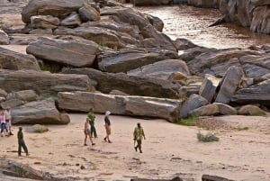 Safari di 2 giorni alla fauna selvatica nel Parco Tsavo Est e Tsavo Ovest