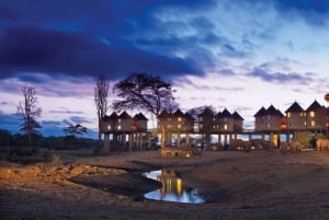 Safari di 2 giorni alla fauna selvatica nel Parco Tsavo Est e Tsavo Ovest